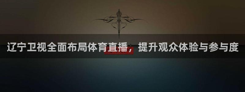辽宁卫视全面布局体育直播，提升观众体验与参与度