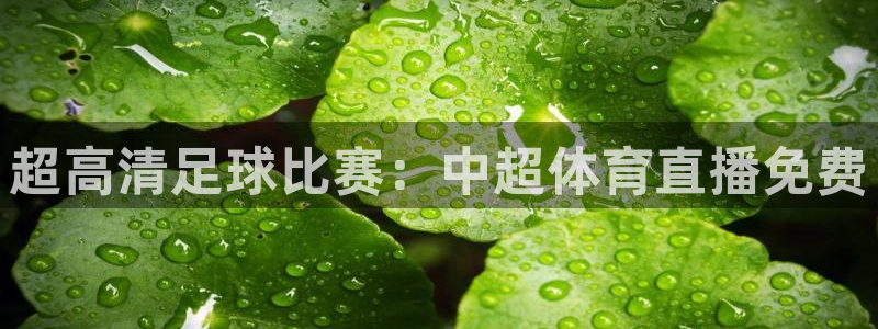 超高清足球比赛：中超体育直播免费