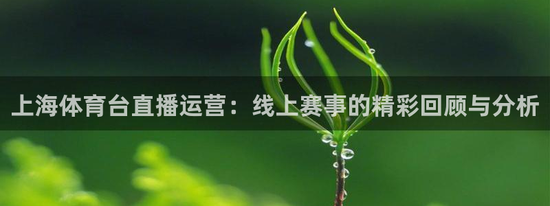 上海体育台直播运营：线上赛事的精彩回顾与分析