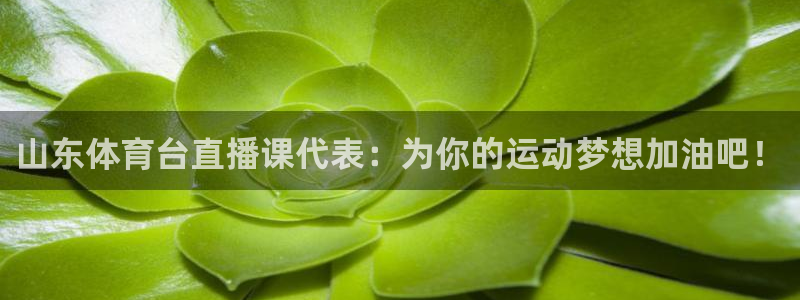 山东体育台直播课代表：为你的运动梦想加油吧！