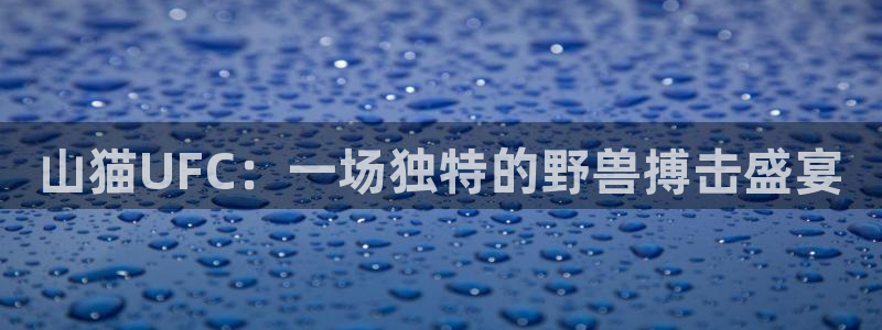 山猫UFC：一场独特的野兽搏击盛宴
