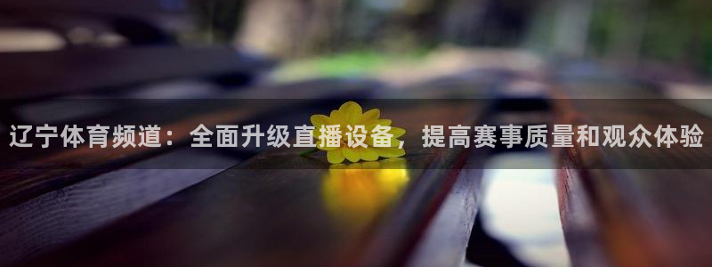辽宁体育频道：全面升级直播设备，提高赛事质量和观众体验