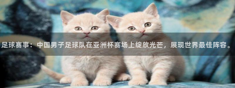 足球赛事：中国男子足球队在亚洲杯赛场上绽放光芒，展现世界最佳阵容。