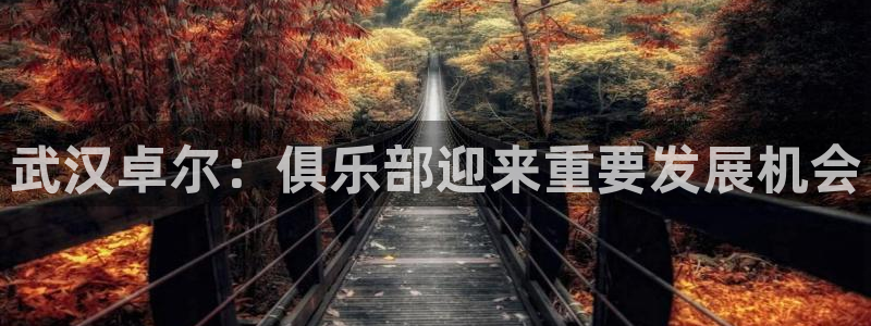 武汉卓尔：俱乐部迎来重要发展机会