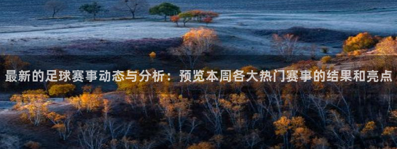 最新的足球赛事动态与分析：预览本周各大热门赛事的结果和亮点