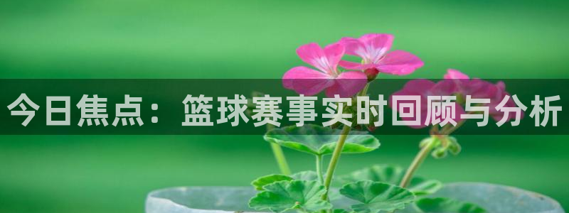 今日焦点：篮球赛事实时回顾与分析