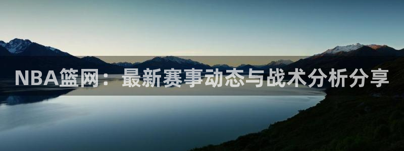NBA篮网：最新赛事动态与战术分析分享
