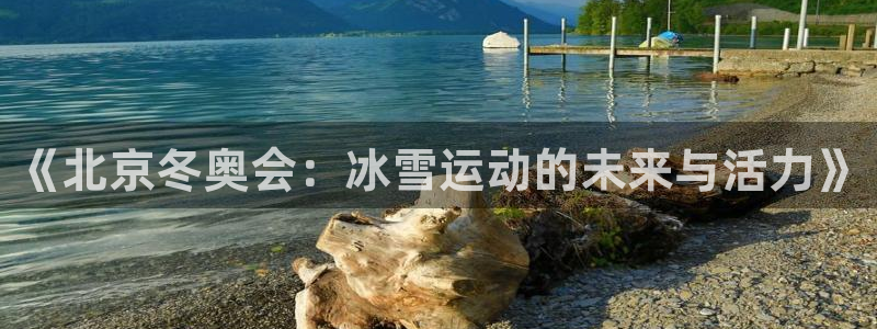 《北京冬奥会：冰雪运动的未来与活力》