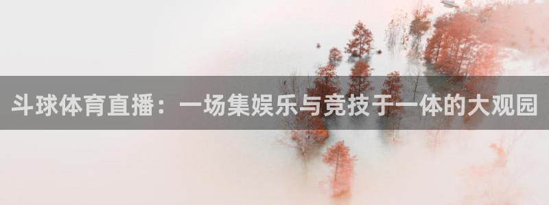 斗球体育直播：一场集娱乐与竞技于一体的大观园