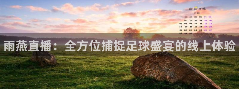 雨燕直播：全方位捕捉足球盛宴的线上体验