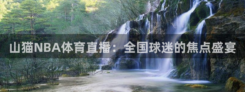山猫NBA体育直播：全国球迷的焦点盛宴