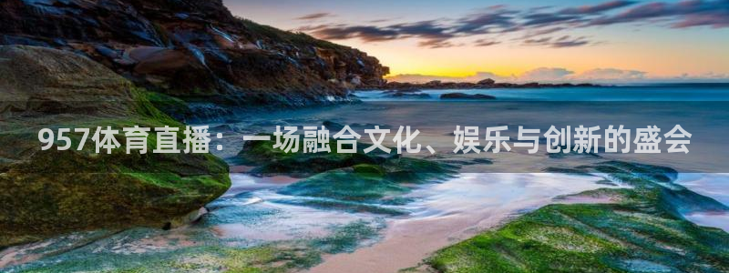 957体育直播：一场融合文化、娱乐与创新的盛会