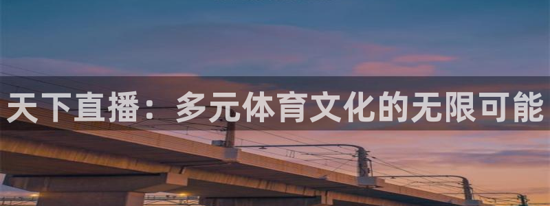天下直播：多元体育文化的无限可能