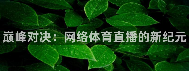 巅峰对决：网络体育直播的新纪元