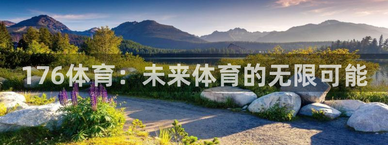 176体育：未来体育的无限可能