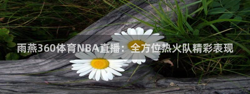 雨燕360体育NBA直播：全方位热火队精彩表现