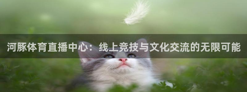 河豚体育直播中心：线上竞技与文化交流的无限可能