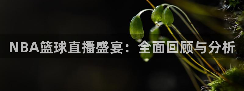 NBA篮球直播盛宴：全面回顾与分析