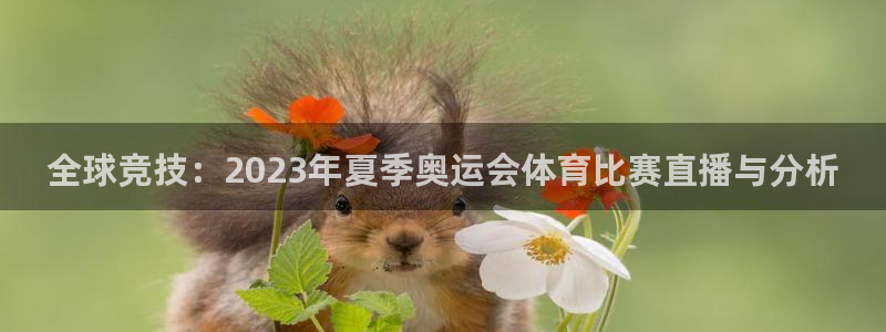 全球竞技：2023年夏季奥运会体育比赛直播与分析