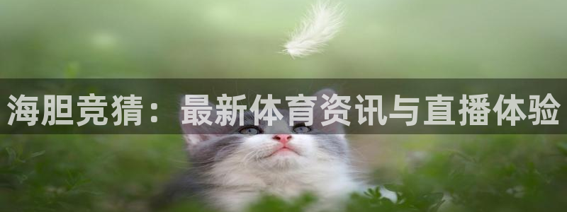 海胆竞猜：最新体育资讯与直播体验