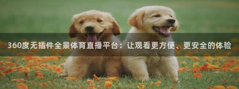 360度无插件全景体育直播平台：让观看更方便、更安全的体验