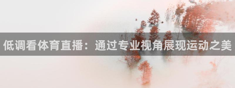 低调看体育直播：通过专业视角展现运动之美