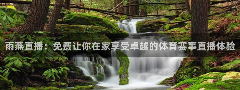 雨燕直播：免费让你在家享受卓越的体育赛事直播体验