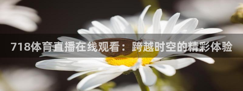 718体育直播在线观看：跨越时空的精彩体验