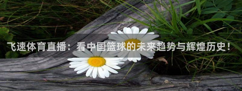 飞速体育直播：看中国篮球的未来趋势与辉煌历史！