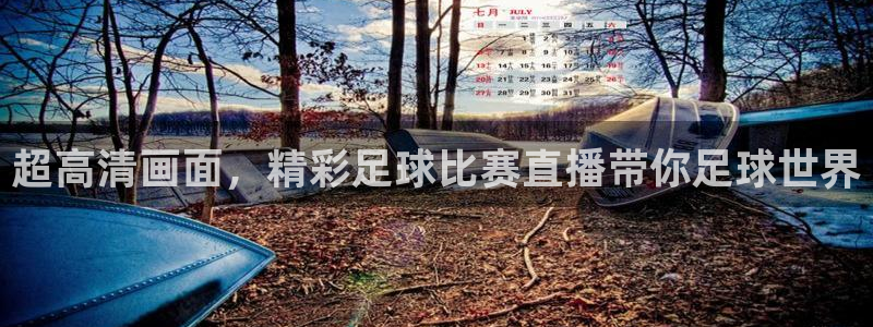 超高清画面，精彩足球比赛直播带你足球世界