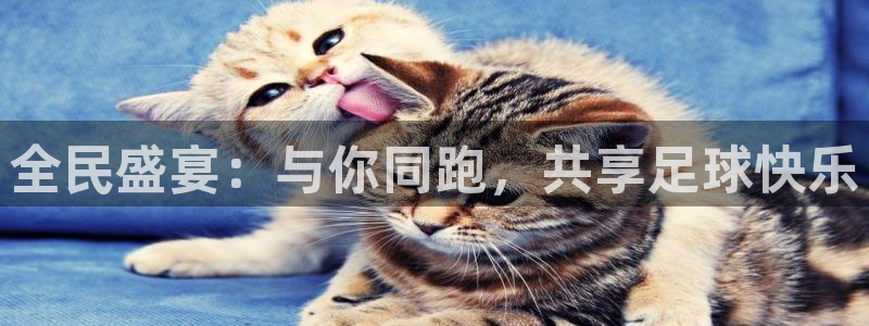全民盛宴：与你同跑，共享足球快乐