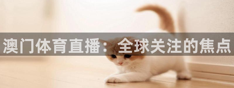 澳门体育直播：全球关注的焦点