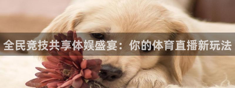 全民竞技共享体娱盛宴：你的体育直播新玩法