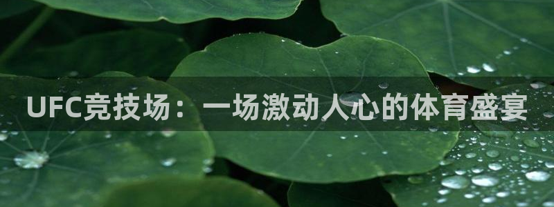 UFC竞技场：一场激动人心的体育盛宴
