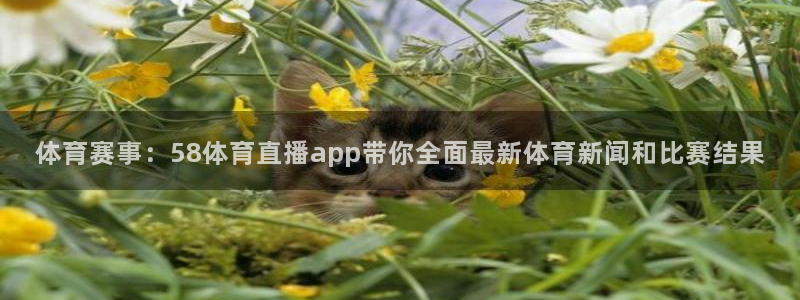 体育赛事：58体育直播app带你全面最新体育新闻和比赛结果
