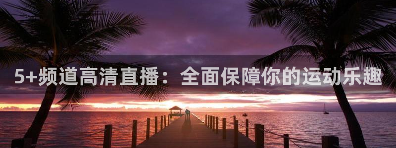 5+频道高清直播：全面保障你的运动乐趣