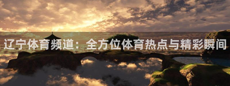 辽宁体育频道：全方位体育热点与精彩瞬间