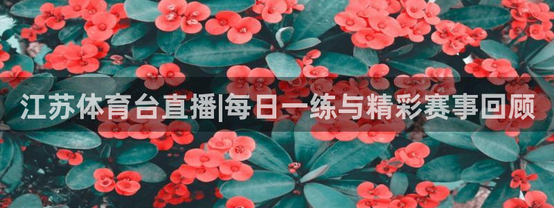 江苏体育台直播|每日一练与精彩赛事回顾