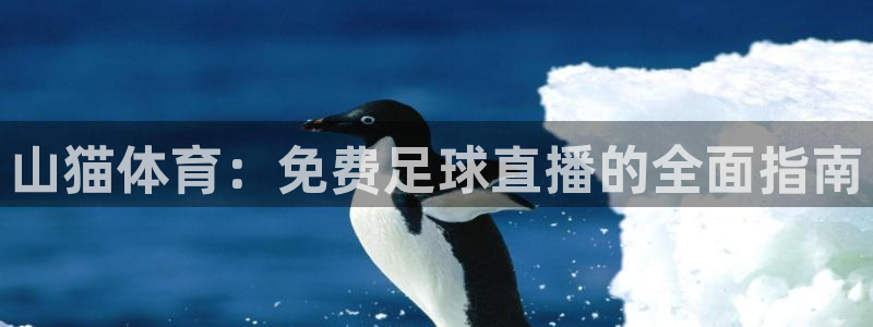 山猫体育：免费足球直播的全面指南