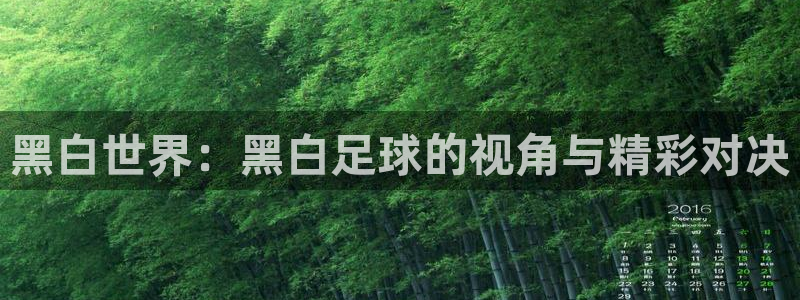 黑白世界：黑白足球的视角与精彩对决