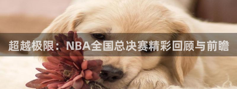 超越极限：NBA全国总决赛精彩回顾与前瞻
