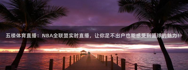 五楼体育直播：NBA全联盟实时直播，让你足不出户也能感受到篮球的魅力！
