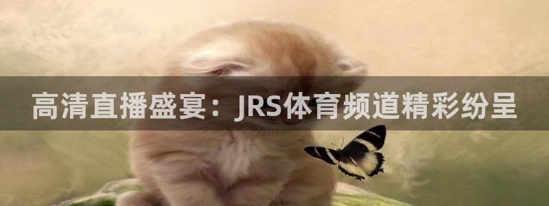 高清直播盛宴：JRS体育频道精彩纷呈