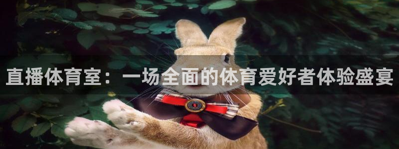直播体育室：一场全面的体育爱好者体验盛宴
