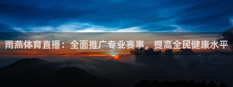 雨燕体育直播：全面推广专业赛事，提高全民健康水平