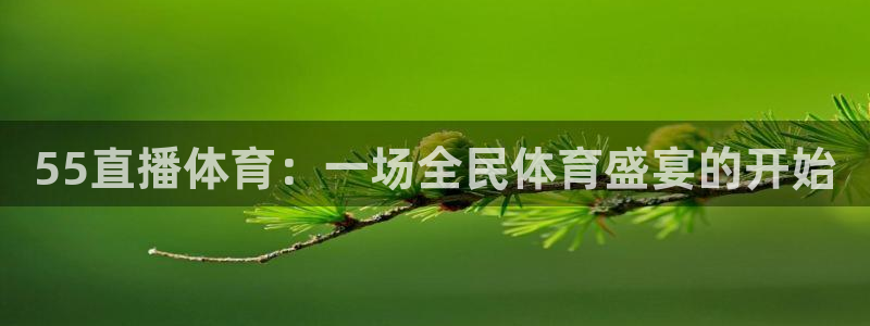 55直播体育：一场全民体育盛宴的开始