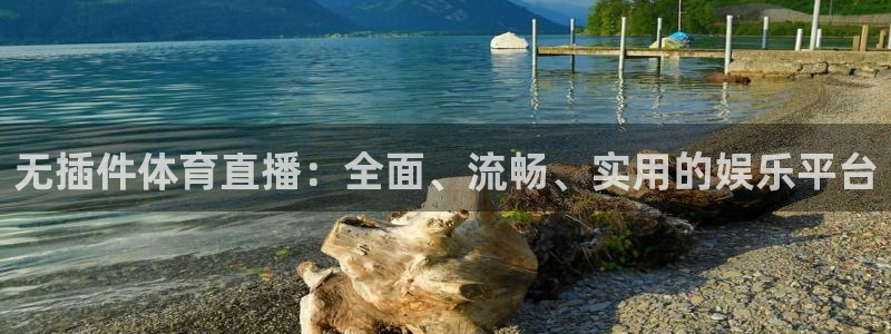 无插件体育直播：全面、流畅、实用的娱乐平台