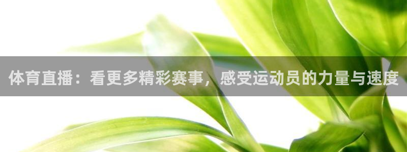 体育直播：看更多精彩赛事，感受运动员的力量与速度