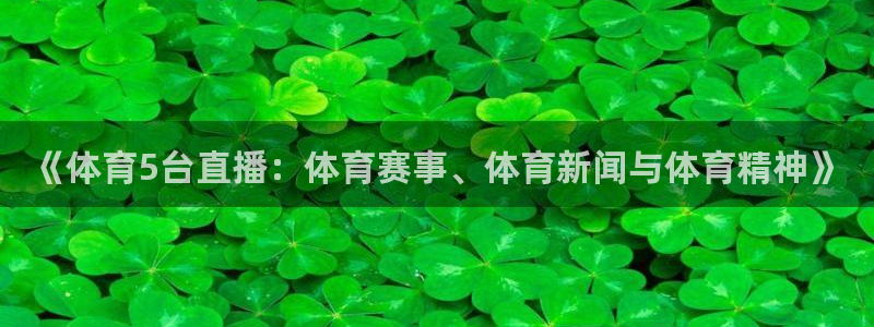 《体育5台直播：体育赛事、体育新闻与体育精神》