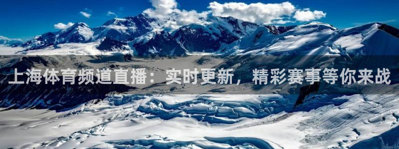 上海体育频道直播：实时更新，精彩赛事等你来战